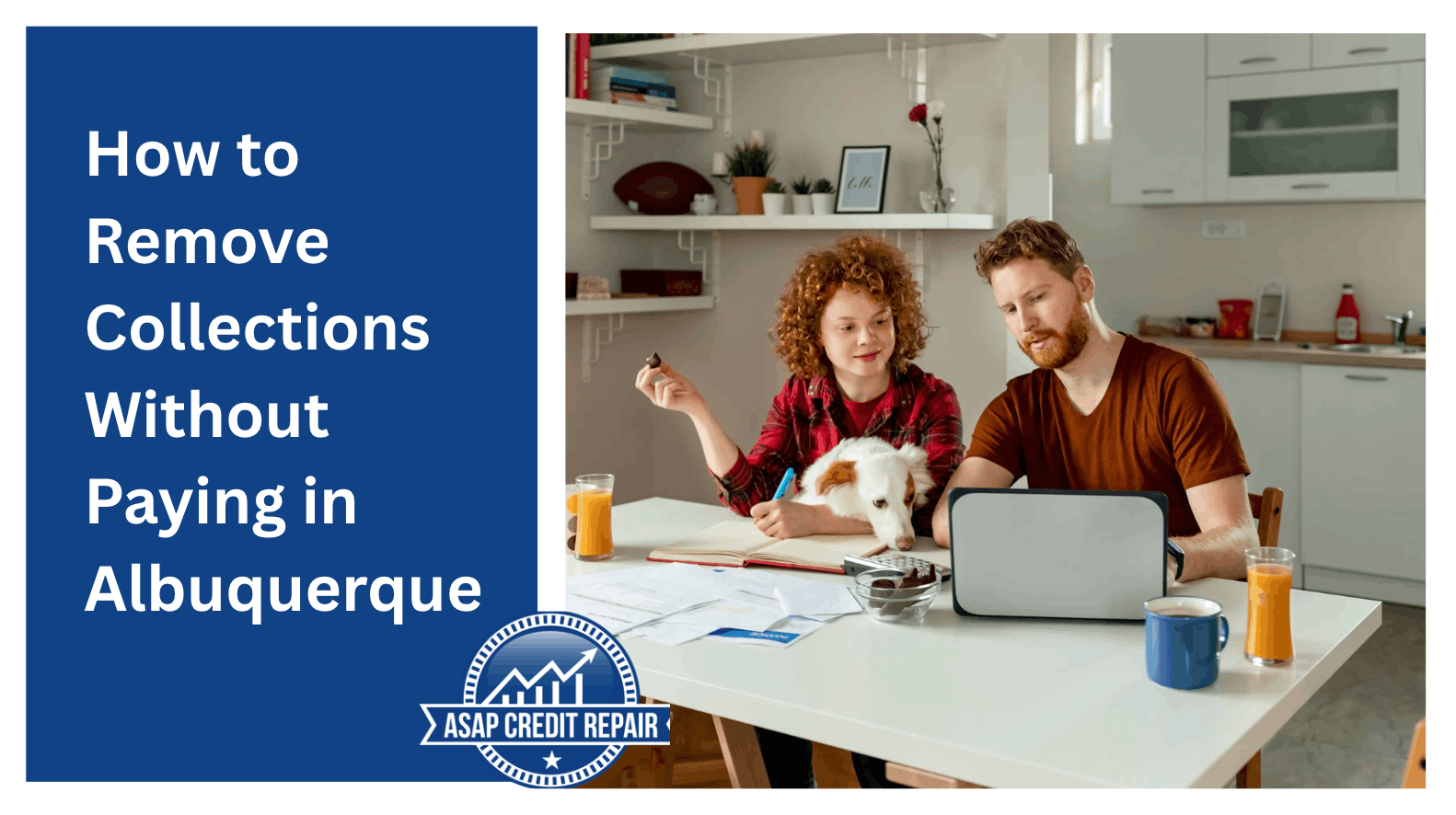 How to Remove Collections Without Paying in Albuquerque